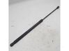 Tailgate/trunk strut/damper 8A61A406A10AC