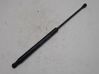 Tailgate/trunk strut/damper 51794232