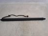 Tailgate/trunk strut/damper 81A827851D
