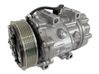 Klimakompressor Pumpe 1036783