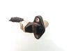 Camshaft speed sensor 