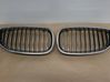 Front bumper upper radiator grill 