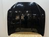 Engine bonnet/hood CX2316854