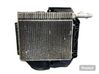 Radiatoriaus oro nukreipėjas (-ai) CX238A107AA