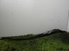 Front wiper blade arm 25911767