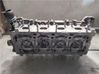 Engine head 55571949