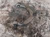Front control arm N57S