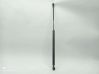 Tailgate/trunk strut/damper 