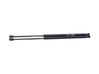 Front bonnet/hood damper/strut 2N11N40060