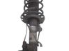 Front shock absorber/damper 824903009586