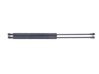 Tailgate/trunk strut/damper 74820ST3E020