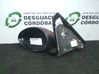 Front door electric wing mirror 
