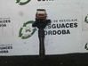 High voltage ignition coil 174801711860