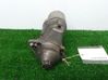 Starter motor D6RA293