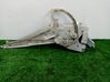 Front door electric window regulator 90520248