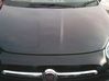 Engine hood trim 