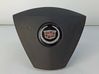 Steering wheel airbag 16866407