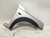 Fender ASB490060
