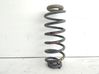 Front coil spring 5102X4