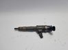 Fuel injector 0445110489