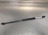 Tailgate strut 1684312