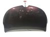 Engine bonnet/hood 651004670R