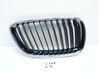Front grill 51137295522