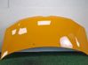 Engine bonnet/hood 651006384R