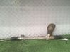 Steering rack 9X241601A