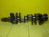 Crankshaft 1704768