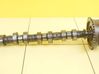 Camshaft 55562225