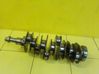 Vilebrequin du moteur NOMINALNY