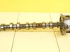 Camshaft 55562225