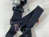 Sicherheitsgurt hinten 560053152