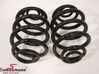 Rear coil spring VV100061