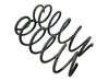 Front coil spring 