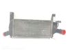 Intercooler radiator 14461EB360