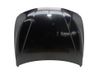 Engine bonnet/hood 41007290944