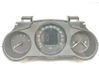 Speedometer (instrument cluster) 248101545R