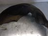 Rear arch fender liner splash guards 51717123523