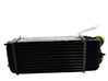 Interkūlerio radiatorius 00000384N1