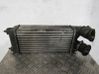 Radiador intercooler 00000384N9