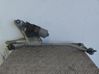 Motor del limpiaparabrisas 8200619512