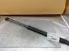 Tailgate/trunk strut/damper 2130816