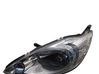 Headlight/headlamp 1563832