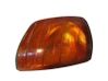 Seitenblinker A1248260443
