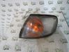 Seitenblinker 261351N025