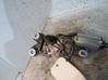 Motor del limpiaparabrisas trasero 4518200008