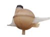 Coolant expansion tank/reservoir cap 2036675