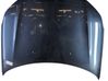 Engine bonnet/hood 00007901P3